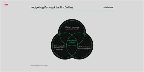 What exactly is the Hedgehog Concept? (Jim Collins) | The Enterprise World