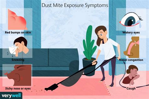 Dust Mite Bites: Treatment, Symptoms, and More