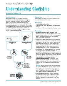 Understanding Cladistics Lesson Plan for 5th - 8th Grade | Lesson Planet