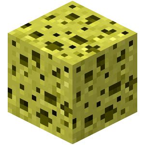 Sponge - Minecraft Wiki