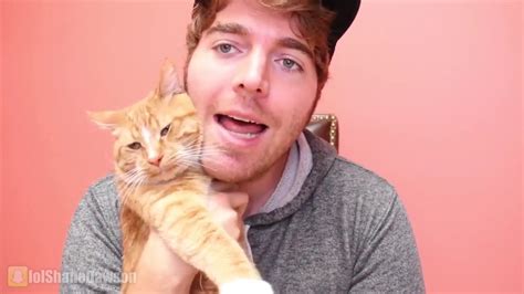 What Happened To Shane Dawsons Cat Cheeto