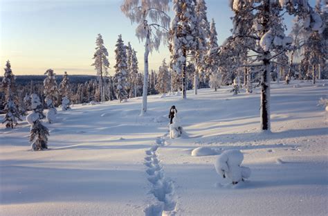 A Winter Travel Guide to Rovaniemi, Finland