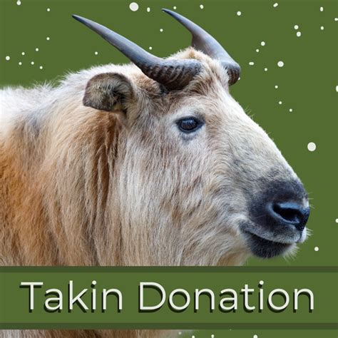 Takin Donation – Lake Superior Zoo