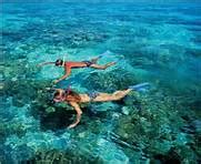 Beaches of Puerto Rico - Sun, Sand, Sea, Dreams! : The Best Snorkeling in Puerto Rico - Try Fajardo!