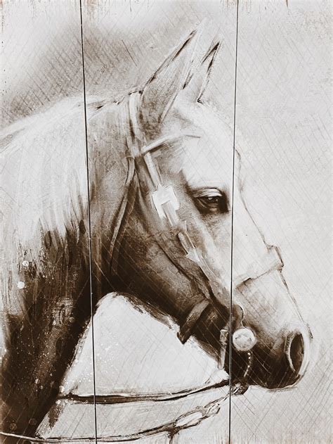 Incredible Compilation of Full 4K Horse Drawing Images: Over 999+ Exceptional Horse Drawing Images