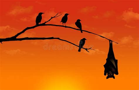 Silhouetted Starling Birds Look Curious As they Roost on a Tree Limb ...