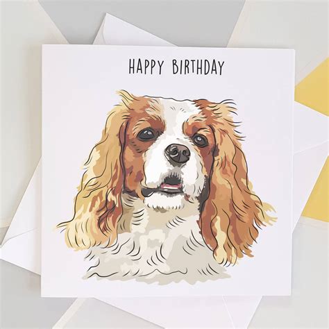 King Charles Spaniel Birthday Card By Giddings Gifts