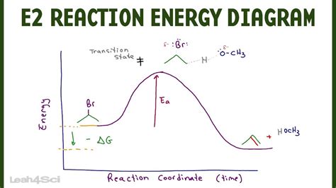 E2 Reaction Coordinate Energy Diagram - YouTube