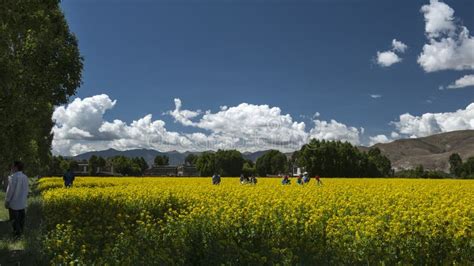 Lhasa Skyline Stock Photos - Free & Royalty-Free Stock Photos from Dreamstime