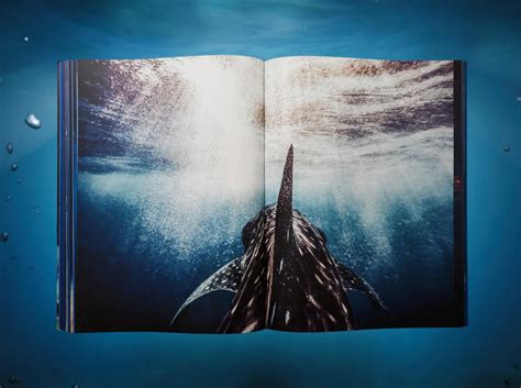 Michael Muller. Sharks. TASCHEN Books