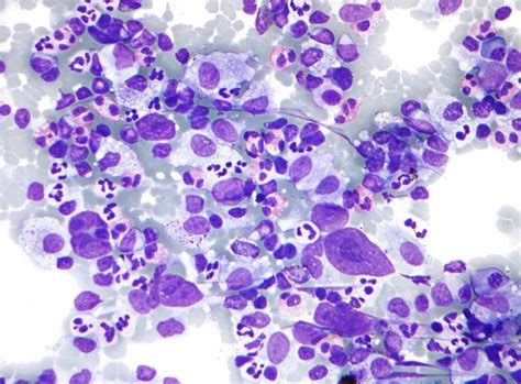 What is the Difference Between Cytology and Histology - Pediaa.Com