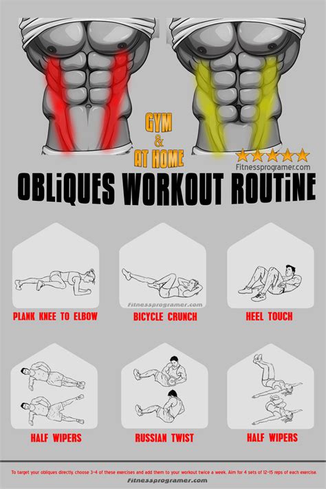 Obliques Workout For Shape And Strength | Workout Planner