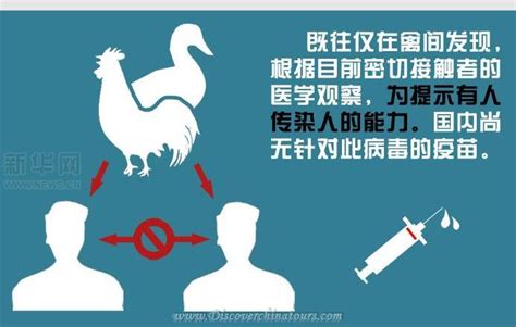 H7N9 Virus Update Report, Discover China Tours