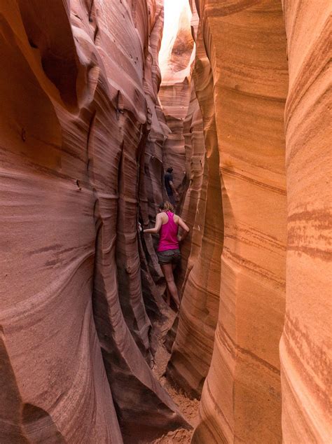 Zebra and Tunnel Slot Canyons Loop | Slot canyon, Grand staircase ...