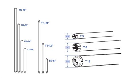 Fluorescent Light Length Sizes