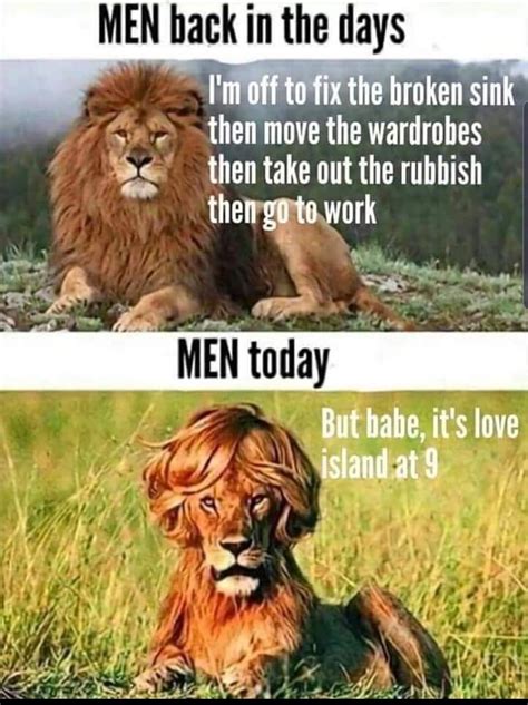 The best lion memes :) Memedroid