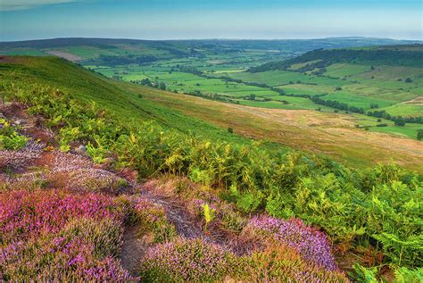 North York Moors National Park Photograph by David Ross - Fine Art America