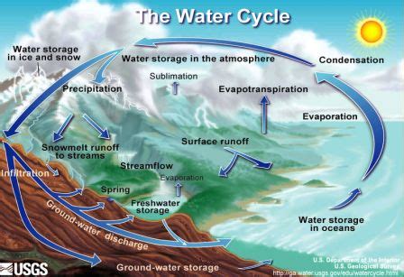 Kids science: The Water Cycle