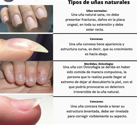 Pin by Schwarz Weiss Walder on Clases de Manicura | Deluxe nails, Nail ...