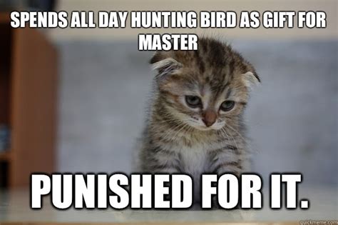 12 Very Sad Kittens That Never Quite Became A Meme