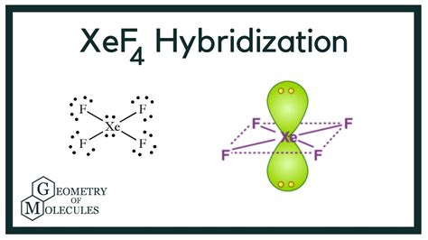 Xef4 Shape