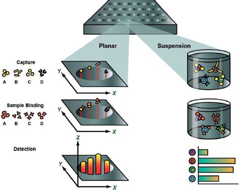 Figure 1 from Multiplex Technology for Biomarker Immunoassays | Semantic Scholar