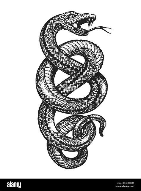 Snake illustration danger Black and White Stock Photos & Images - Alamy