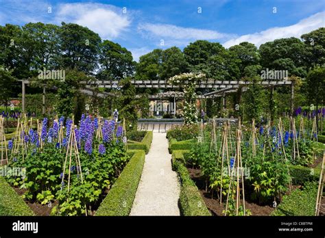 Ornamental Garden, The Alnwick Garden, Alnwick Castle, Alnwick, Northumberland, North East ...