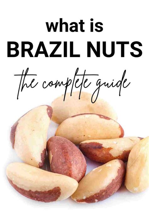 Brazil Nuts 101: Nutrition, Benefits, How To Use, Buy, Store A Complete Guide - Fas Kitchen