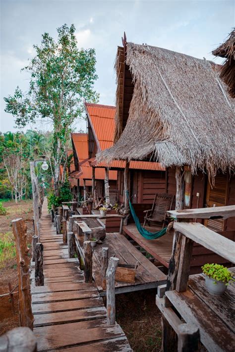 The Most Ethical Elephant Sanctuary in Cambodia - Our Travel Soup | Eco lodge, Southeast asia ...