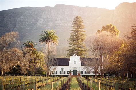 South Africa: The best wine tours worth the detour