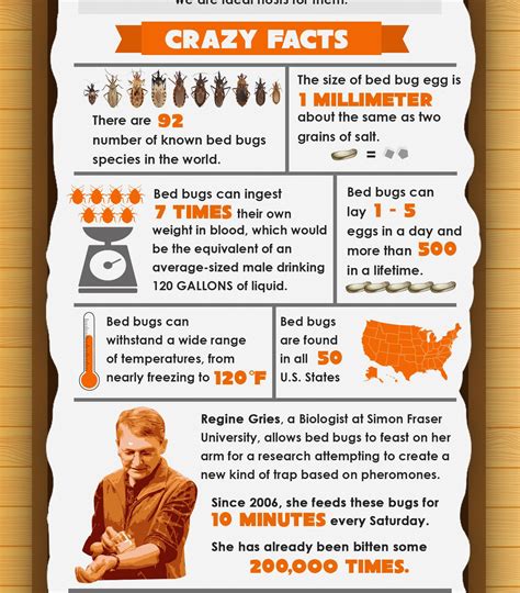 Bed bug facts – Artofit