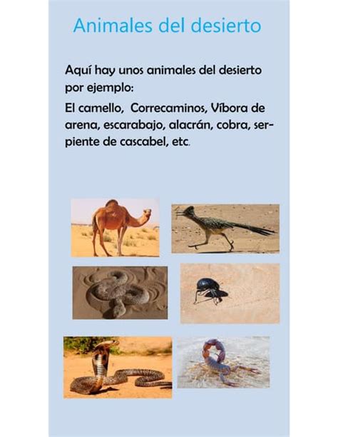 Animales que habitan en el desierto | PDF