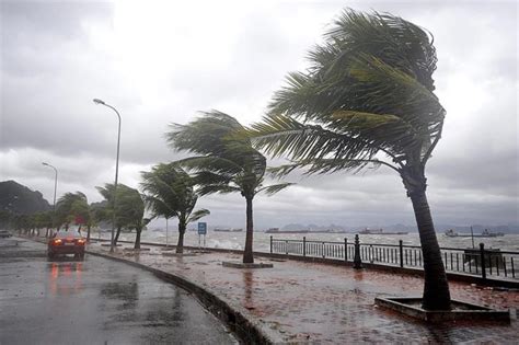 Yellow warning issued for high wind in coastal areas | in-cyprus.com