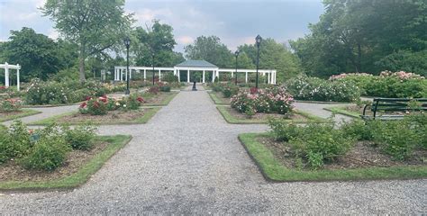 Delaware park Rose Garden | Delaware park, Park rose, Park