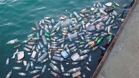 UN Global Initiative Tackles Marine Litter to Clean World's Oceans