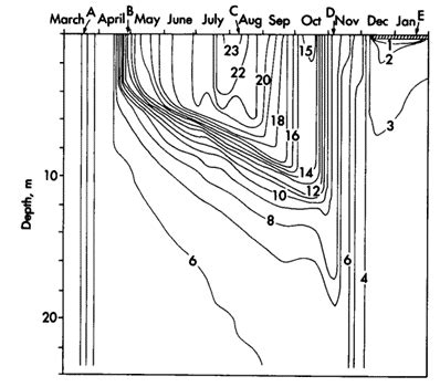 [Solved] 4) Based on the following isopleth diagram, Mountain Lake (VA,... | Course Hero