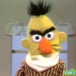 Sesame Street - Angry Bert Meme Generator - Imgflip