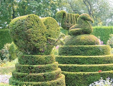 Topiary Art - Best Landscape Ideas