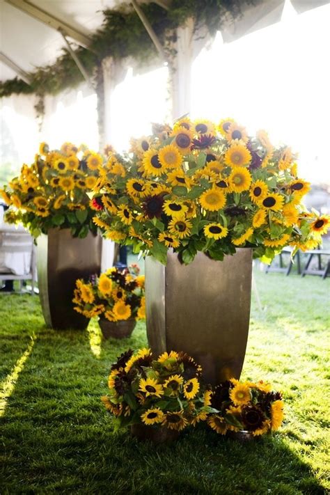 25 Sunflower Wedding Decorations Ideas - Wohh Wedding