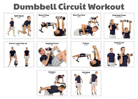 Dumbbell Workout Chart Printable - Printable Word Searches