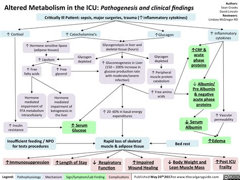 Altered Metabolism in the ICU: Pathogenesis and clinical findings | Calgary Guide