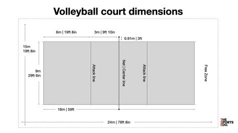 The Rules of Volleyball - The Sports Edu