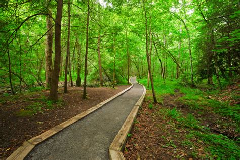 Accessible & Stroller-Friendly Hiking Trails in the Smoky Mountains