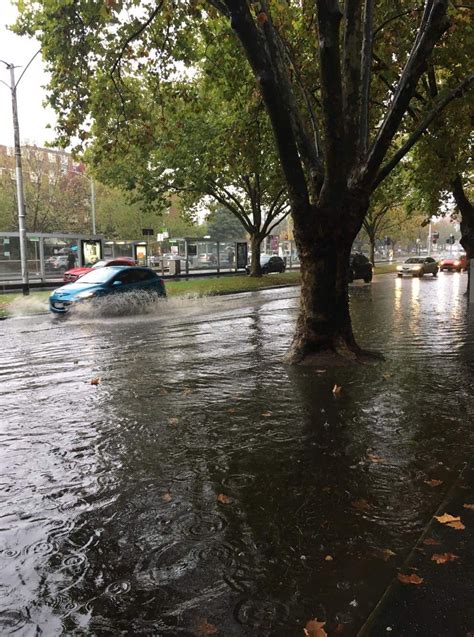 Bureau of Meteorology, Victoria on Twitter: "#Melbourne has had more ...