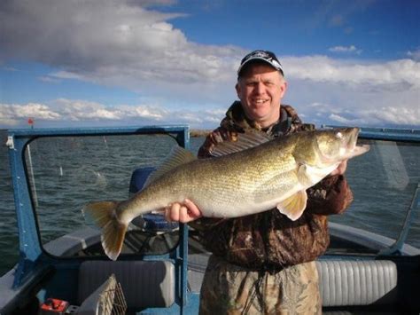 Walleye Fishing Guides | Snake and Columbia River Washington