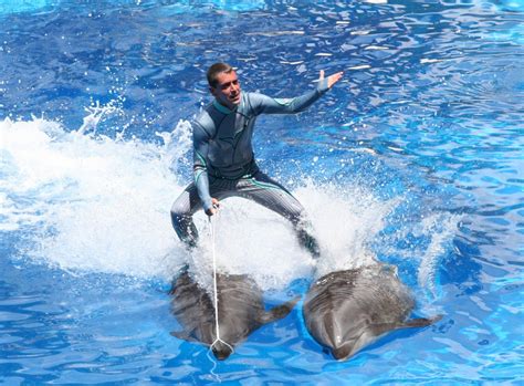 SeaWorld Ends Practice of Trainers Riding Dolphins | Focusing on Wildlife