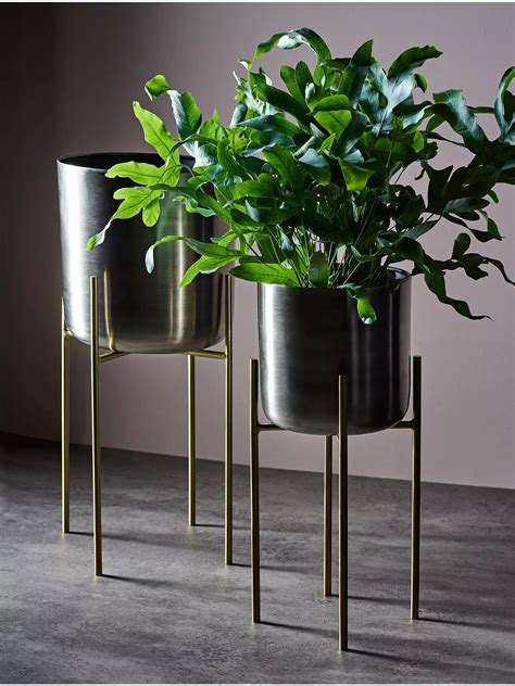 Tall Plant Pots Indoor - Plant Ideas