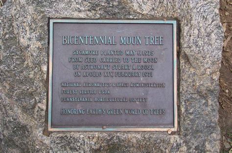 Flown to the Moon and Back: The Mystery of NASA's "Moon Trees"