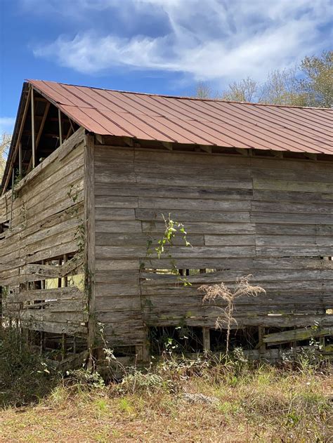 Pin by Charlotte Henrichs on Gulf State Park Cabins, Alabama | State park cabins, State parks, Cabin